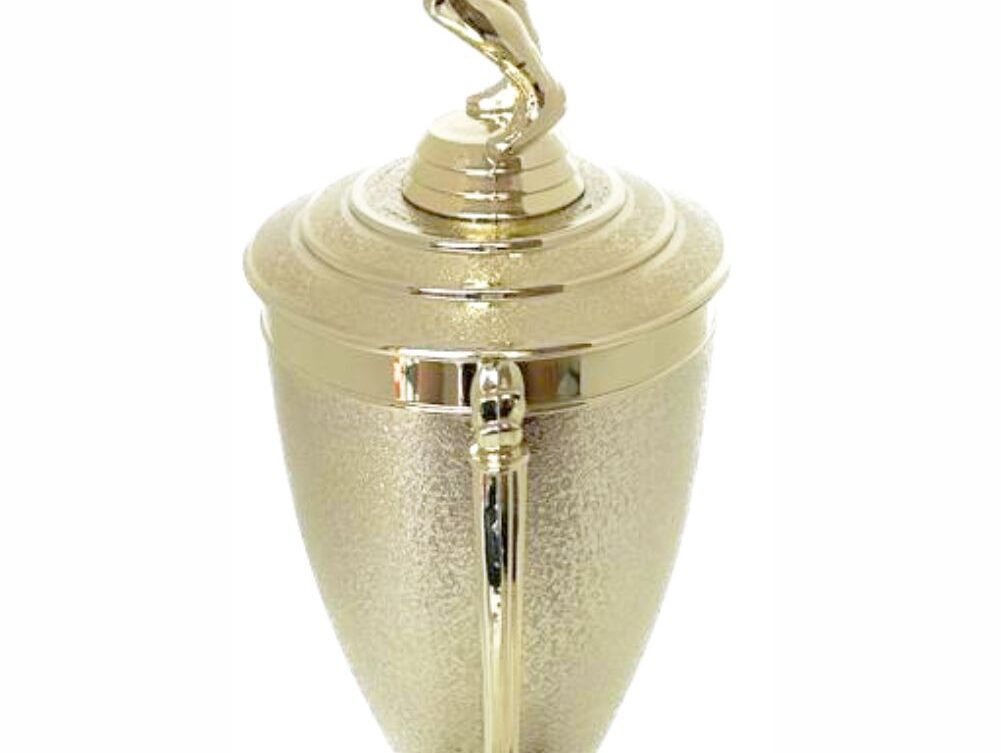 Volleyball Male Trophy 380mm