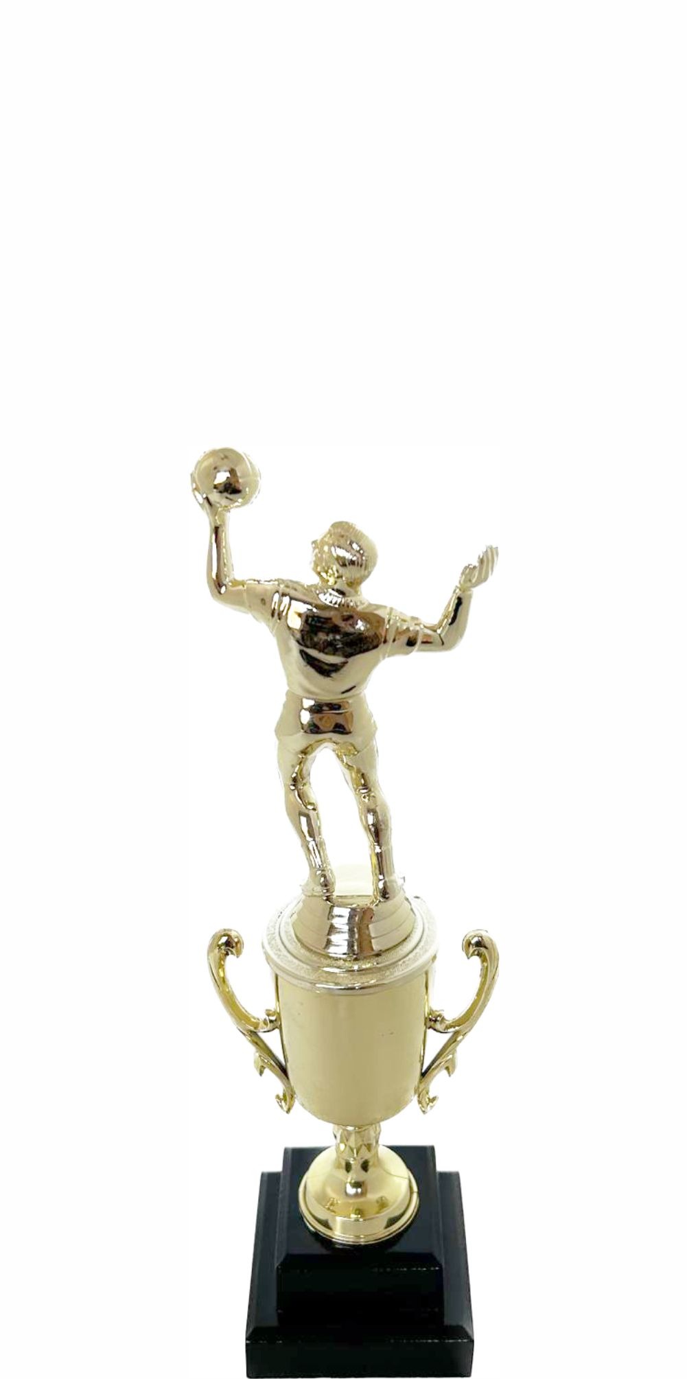 Volleyball Male Trophy 240mm
