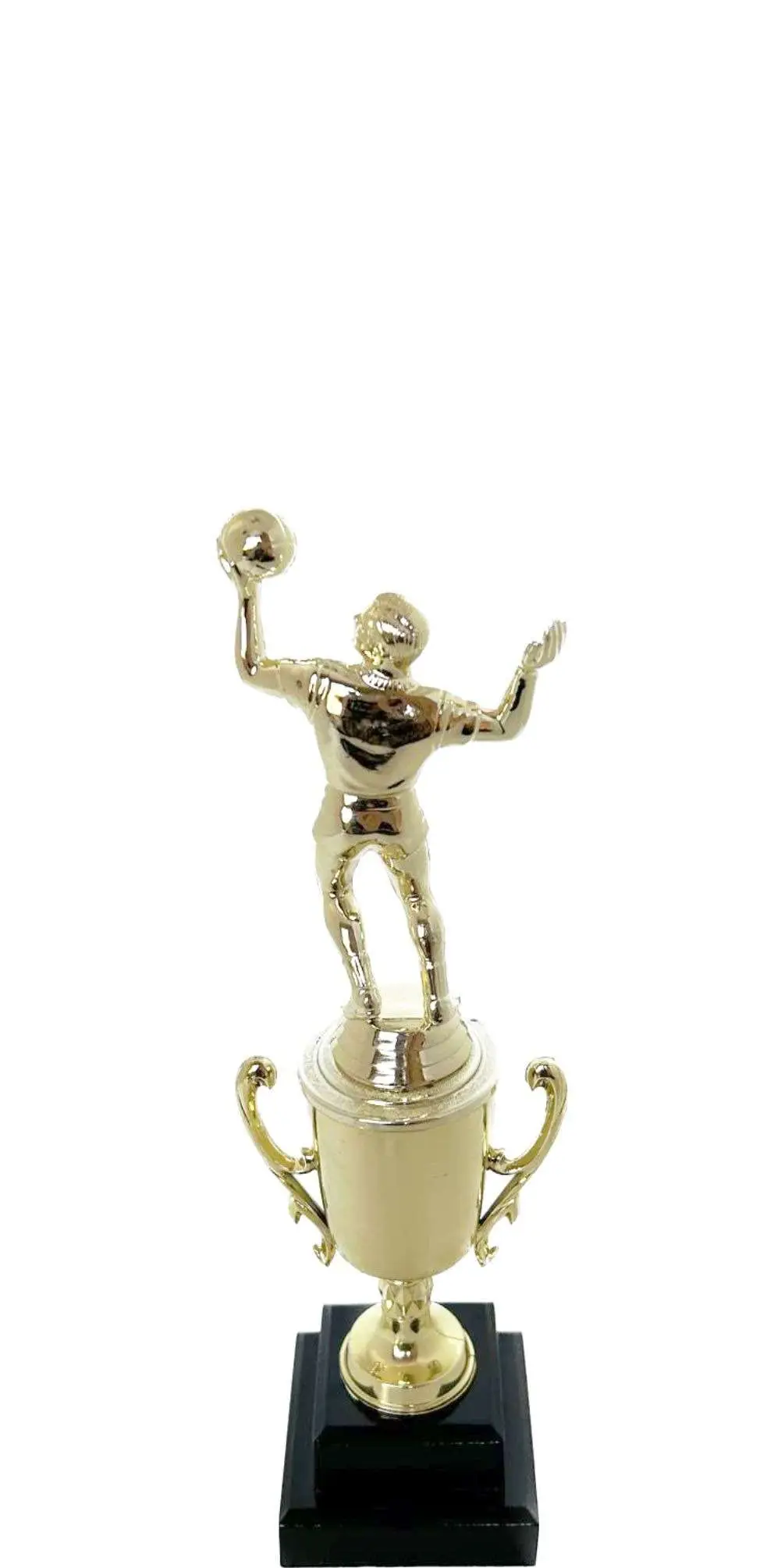 Volleyball Male Trophy 240mm