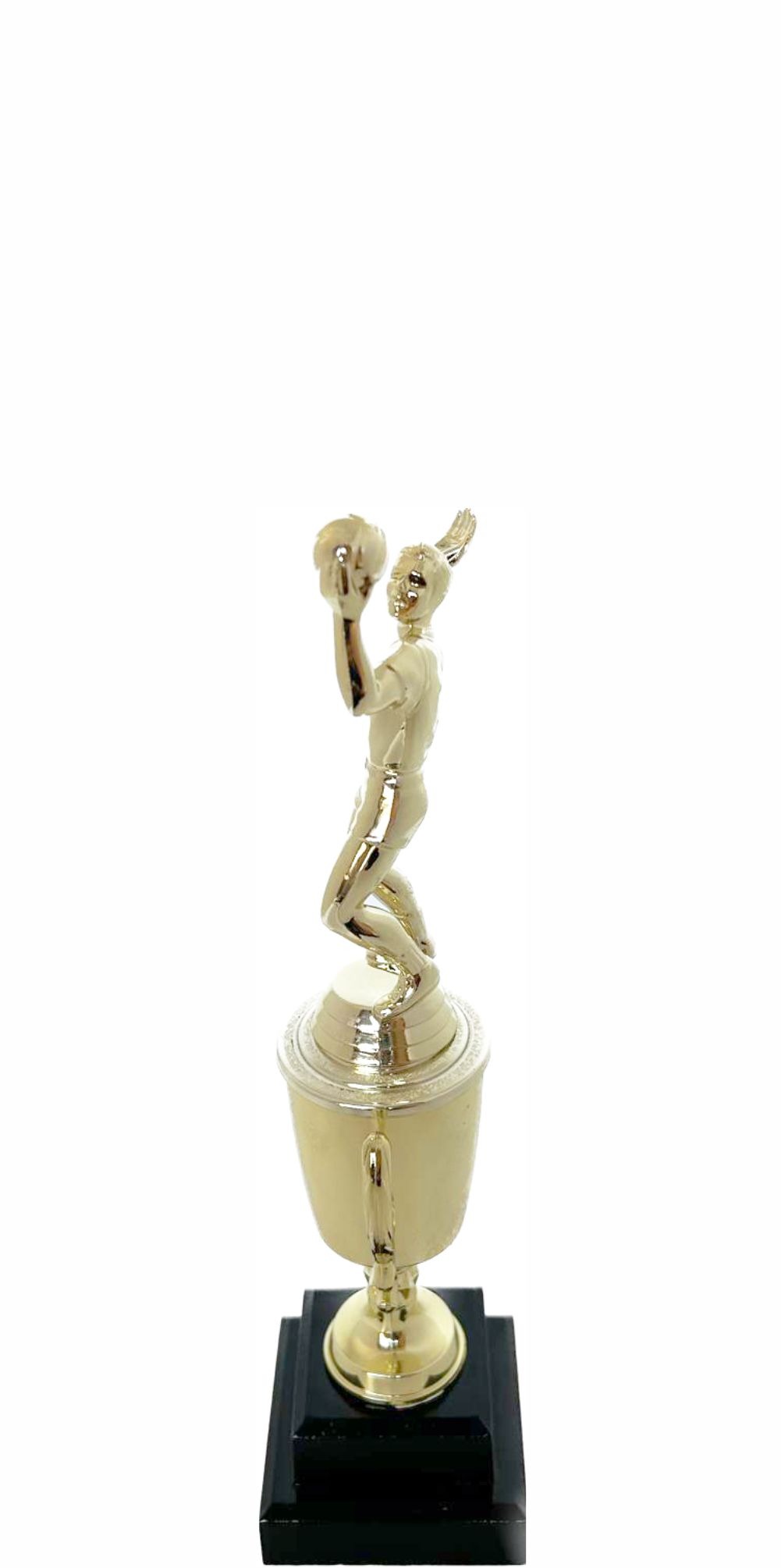 Volleyball Male Trophy 240mm