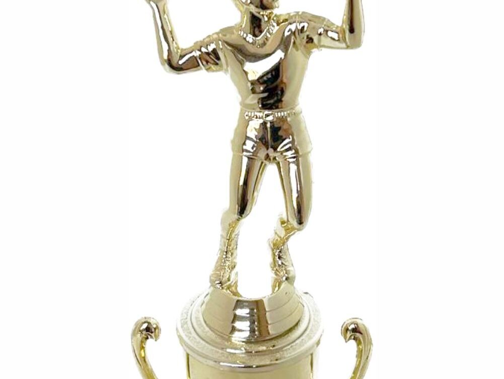 Volleyball Male Trophy 265mm