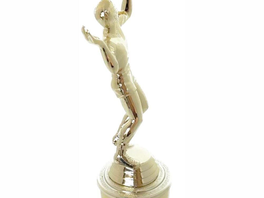 Volleyball Male Trophy 265mm