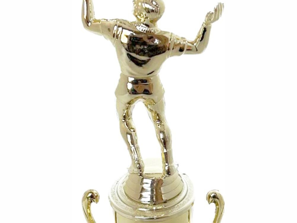 Volleyball Male Trophy 265mm