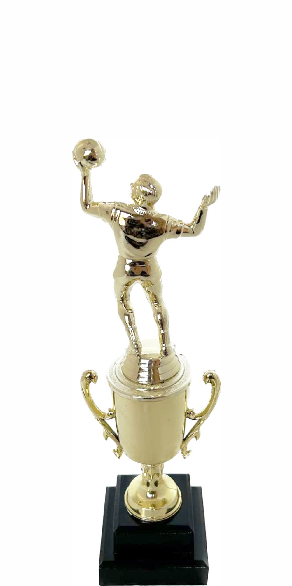 Volleyball Male Trophy 265mm