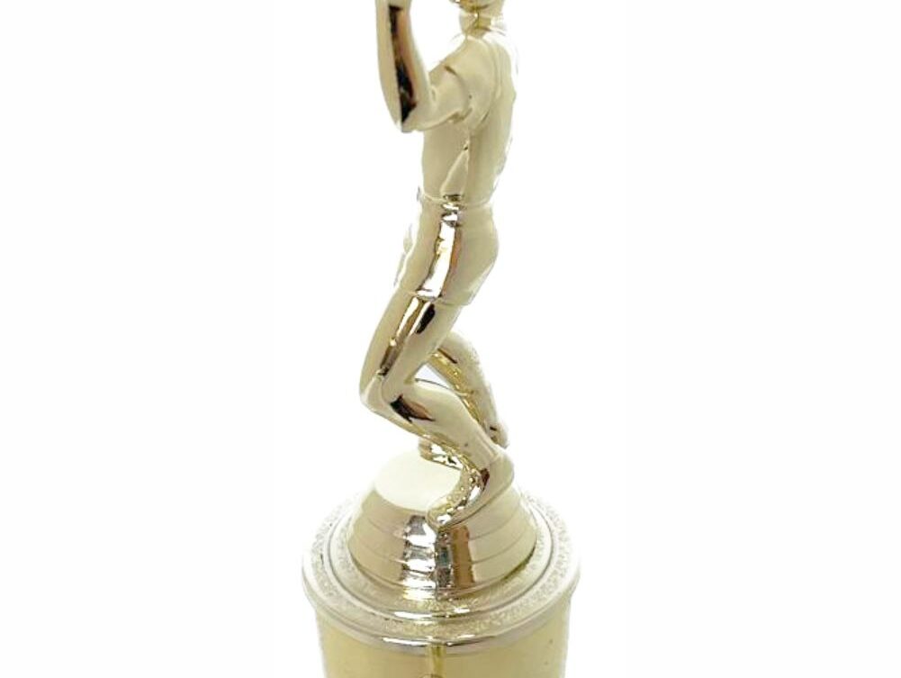 Volleyball Male Trophy 265mm