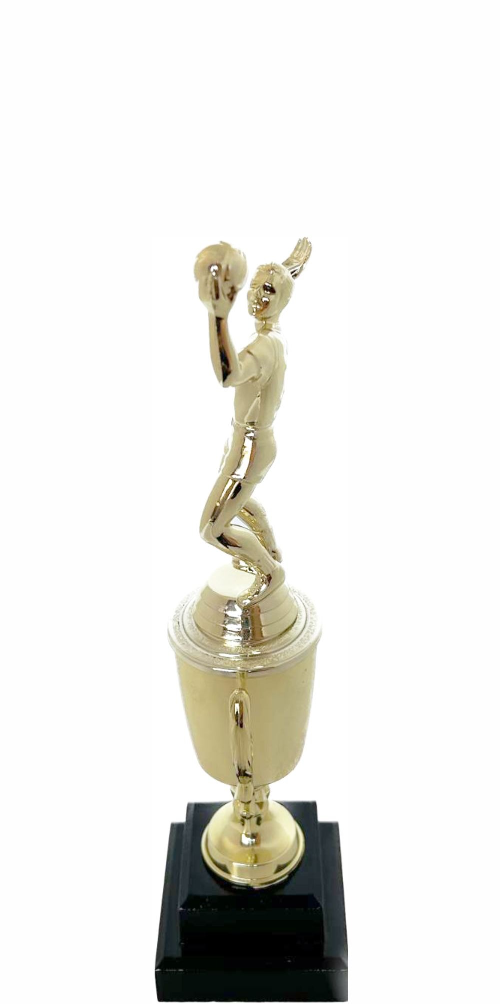 Volleyball Male Trophy 265mm