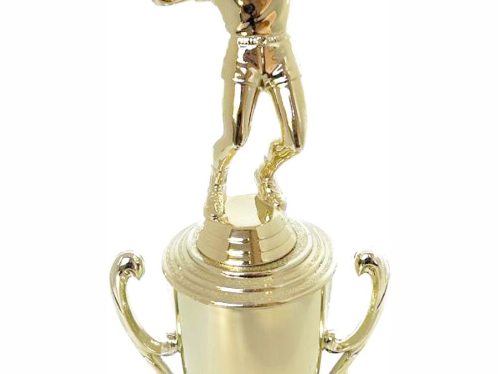 Volleyball Male Trophy 300mm