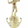 Volleyball Male Trophy 300mm