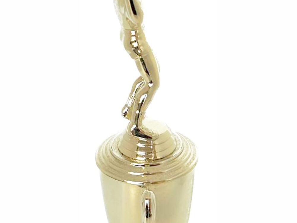 Volleyball Male Trophy 300mm
