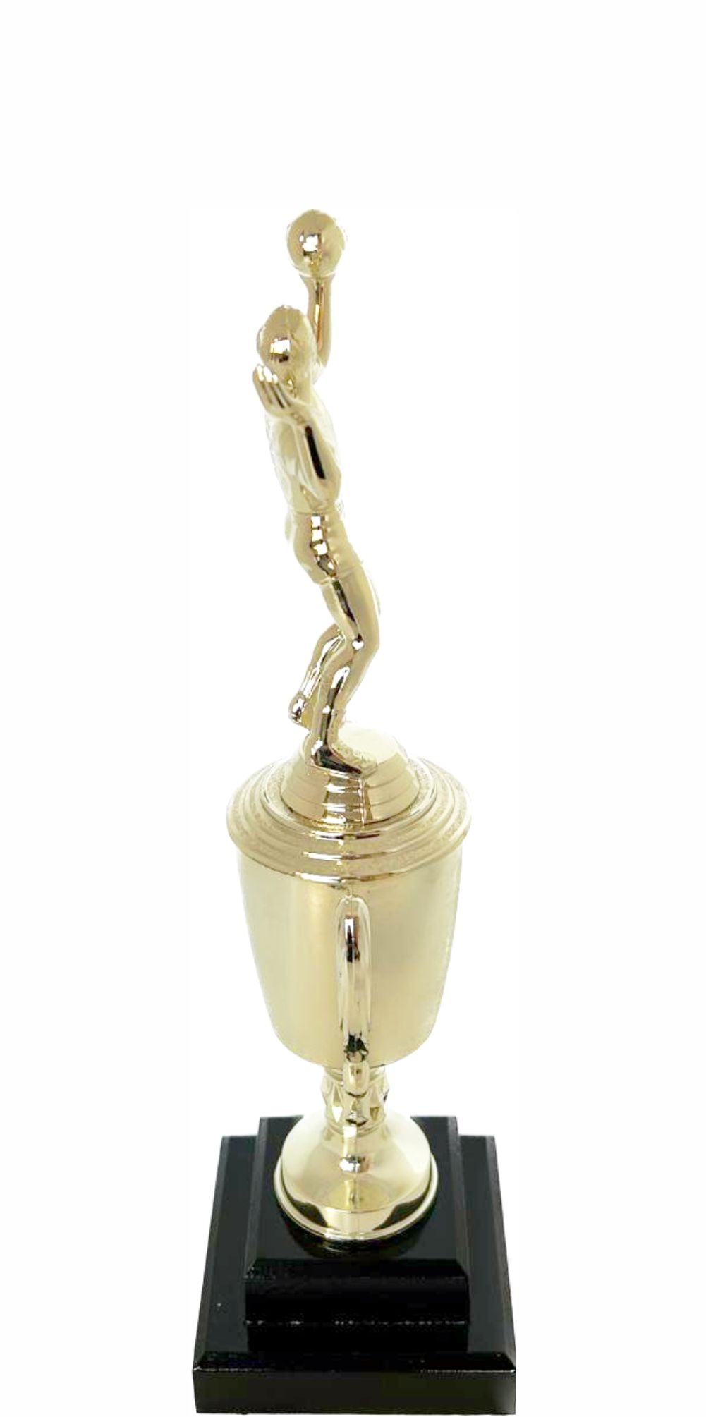 Volleyball Male Trophy 300mm