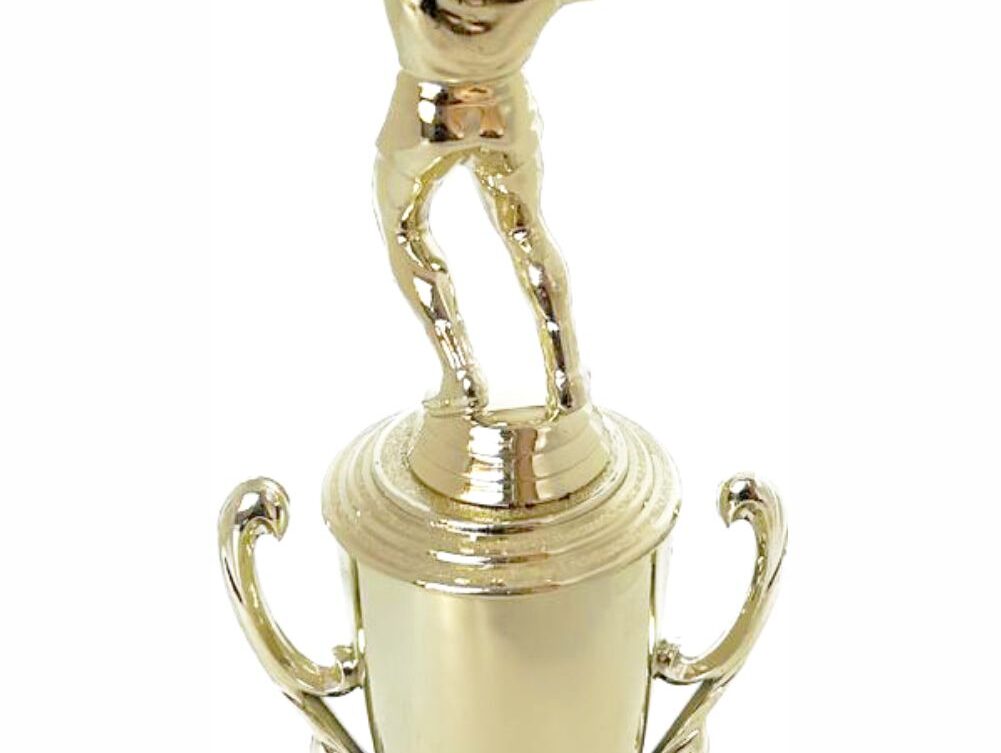 Volleyball Male Trophy 300mm