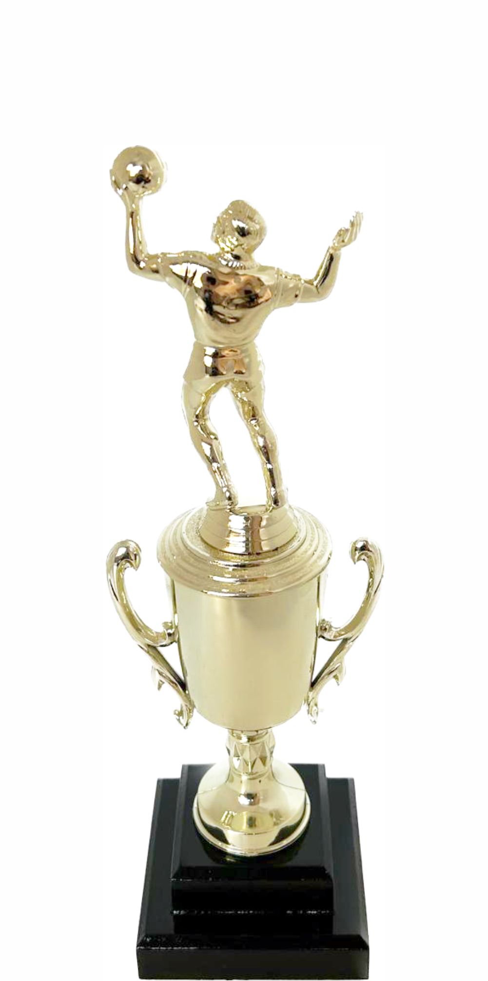 Volleyball Male Trophy 300mm