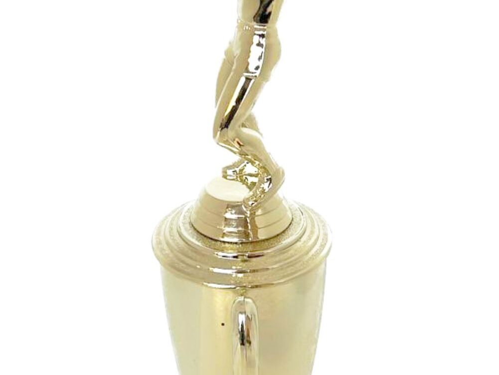 Volleyball Male Trophy 300mm