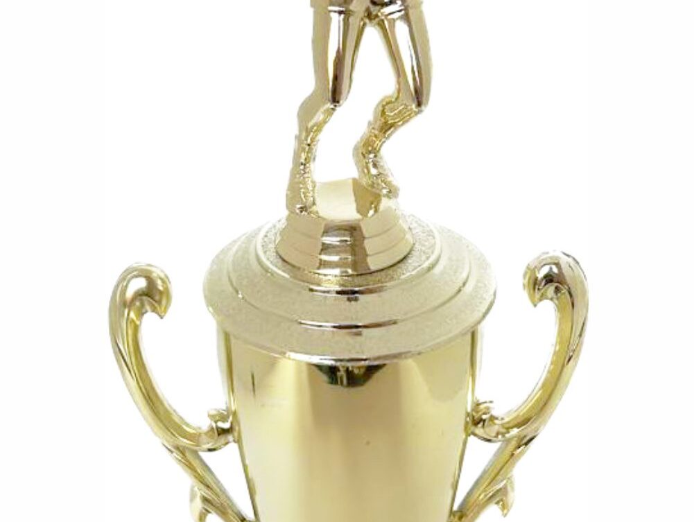 Volleyball Male Trophy 340mm