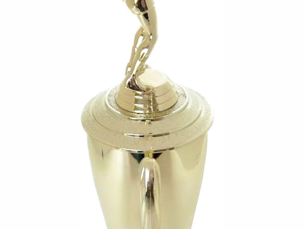 Volleyball Male Trophy 340mm