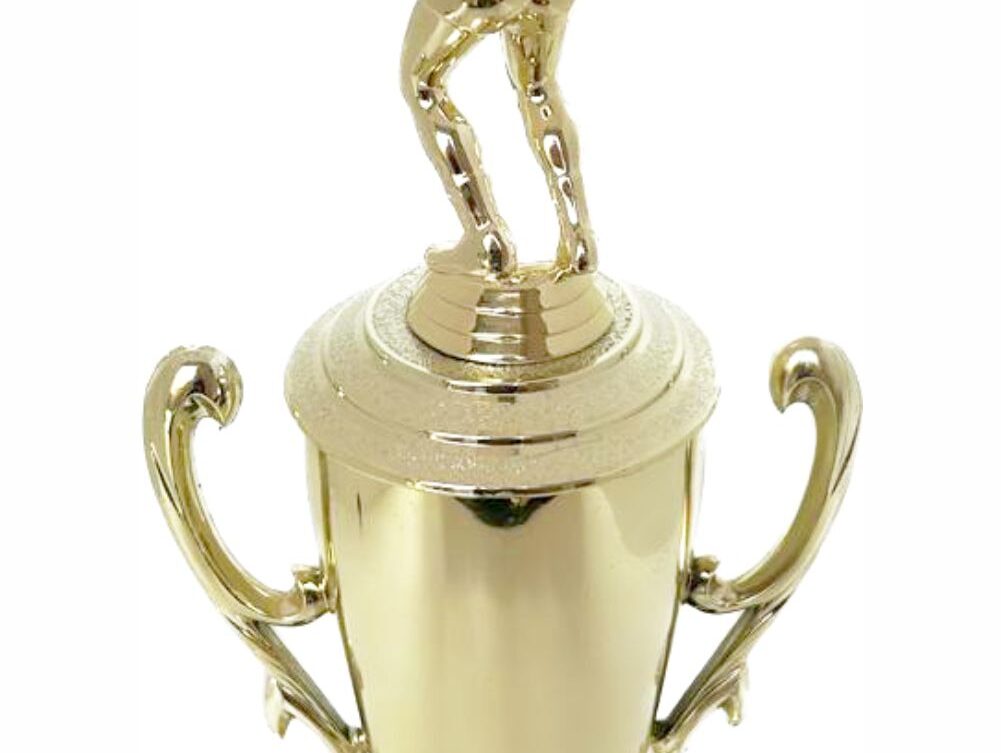 Volleyball Male Trophy 340mm
