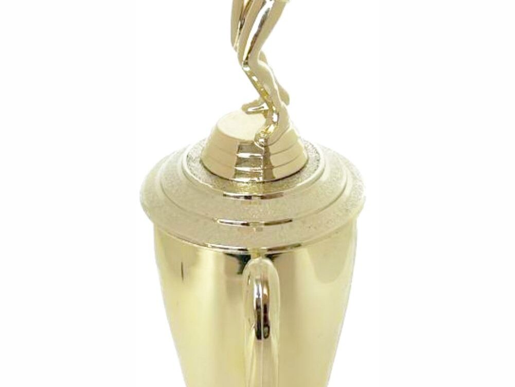 Volleyball Male Trophy 340mm