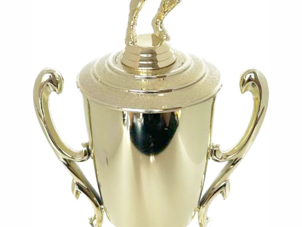 Volleyball Male Trophy 380mm