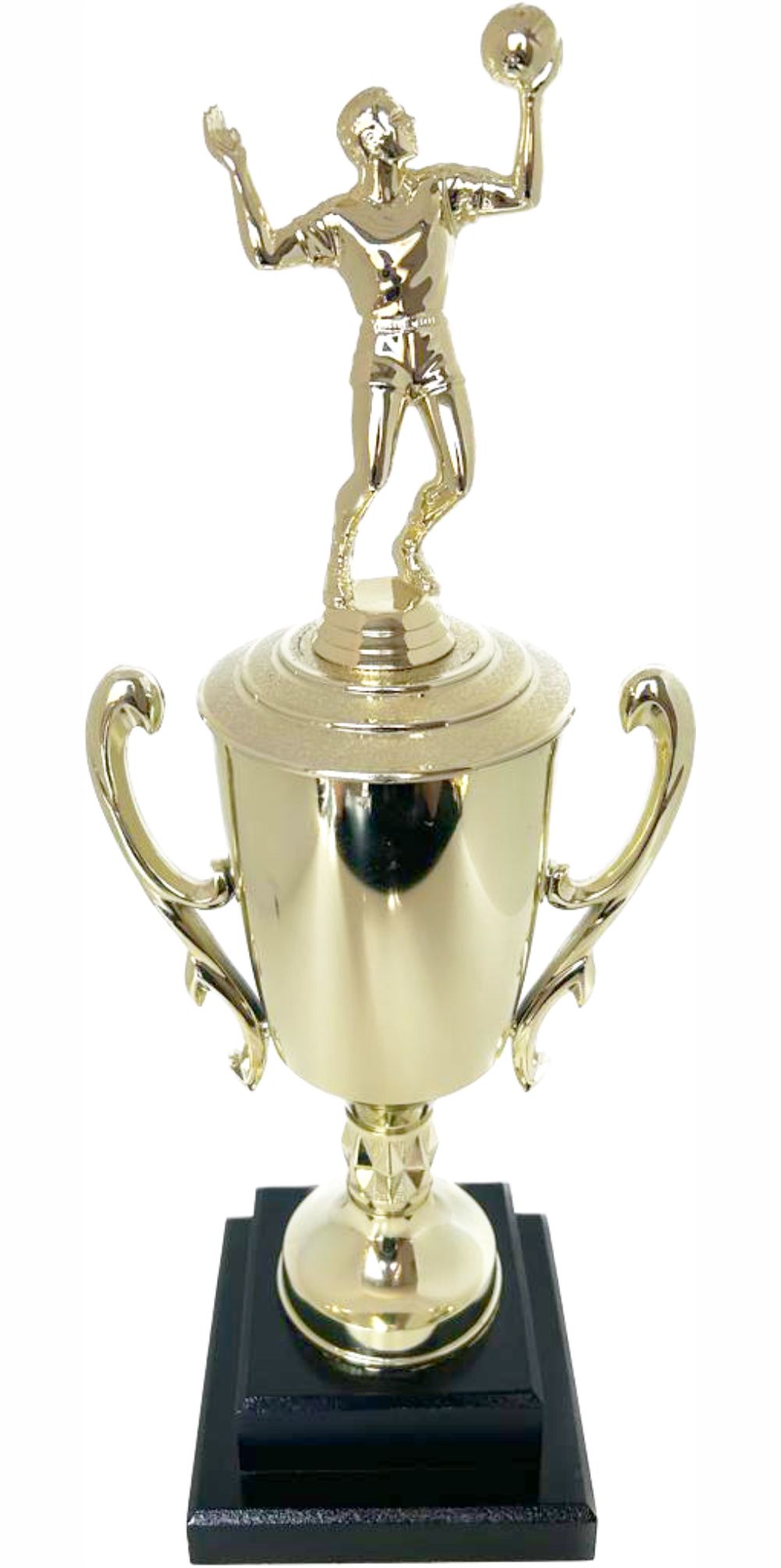 Volleyball Male Trophy 380mm