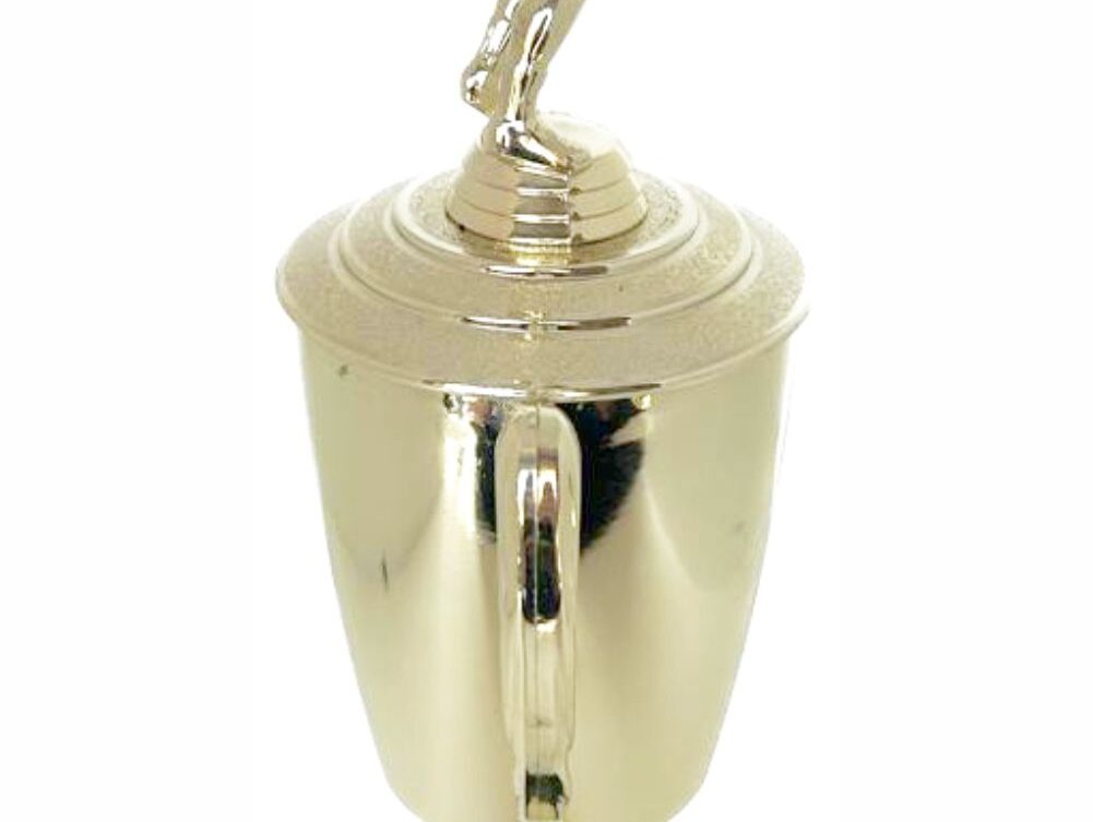Volleyball Male Trophy 380mm