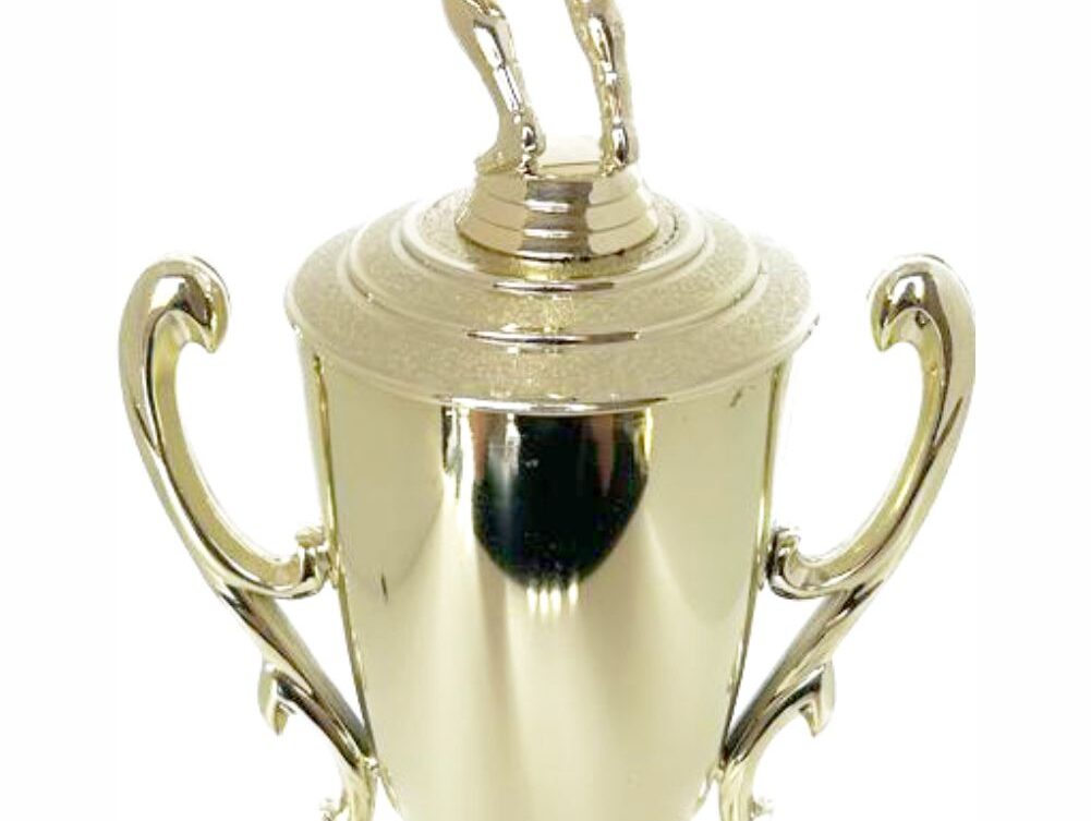 Volleyball Male Trophy 380mm