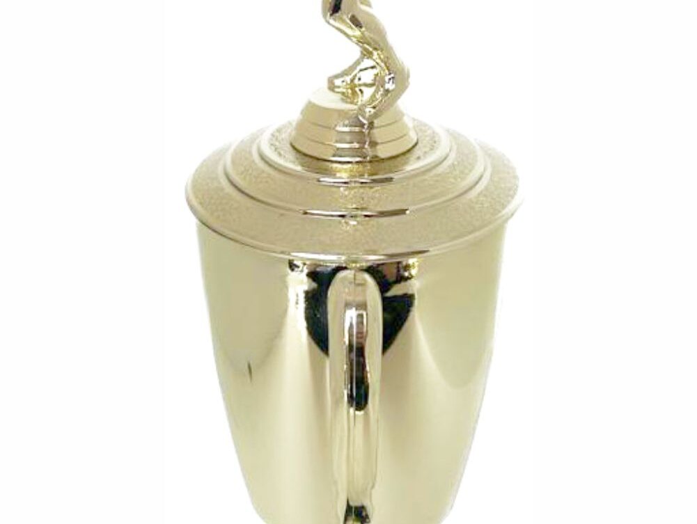 Volleyball Male Trophy 380mm