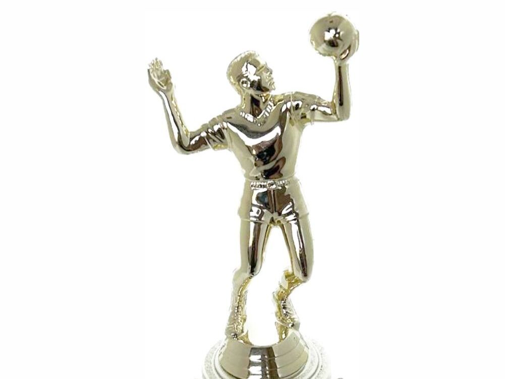 Volleyball Male Trophy 240mm