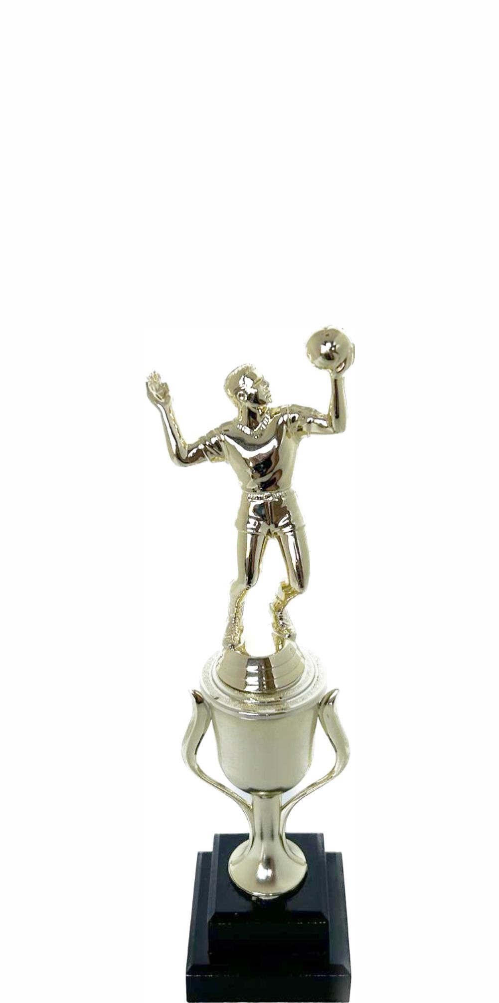 Volleyball Male Trophy 240mm