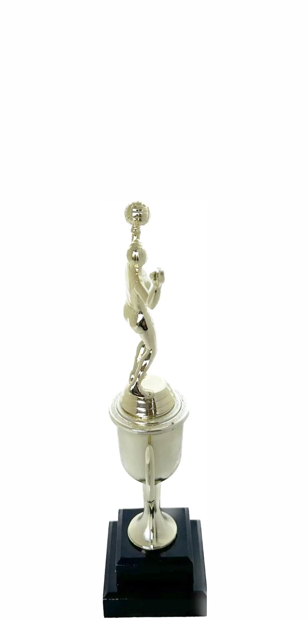 Volleyball Male Trophy 240mm