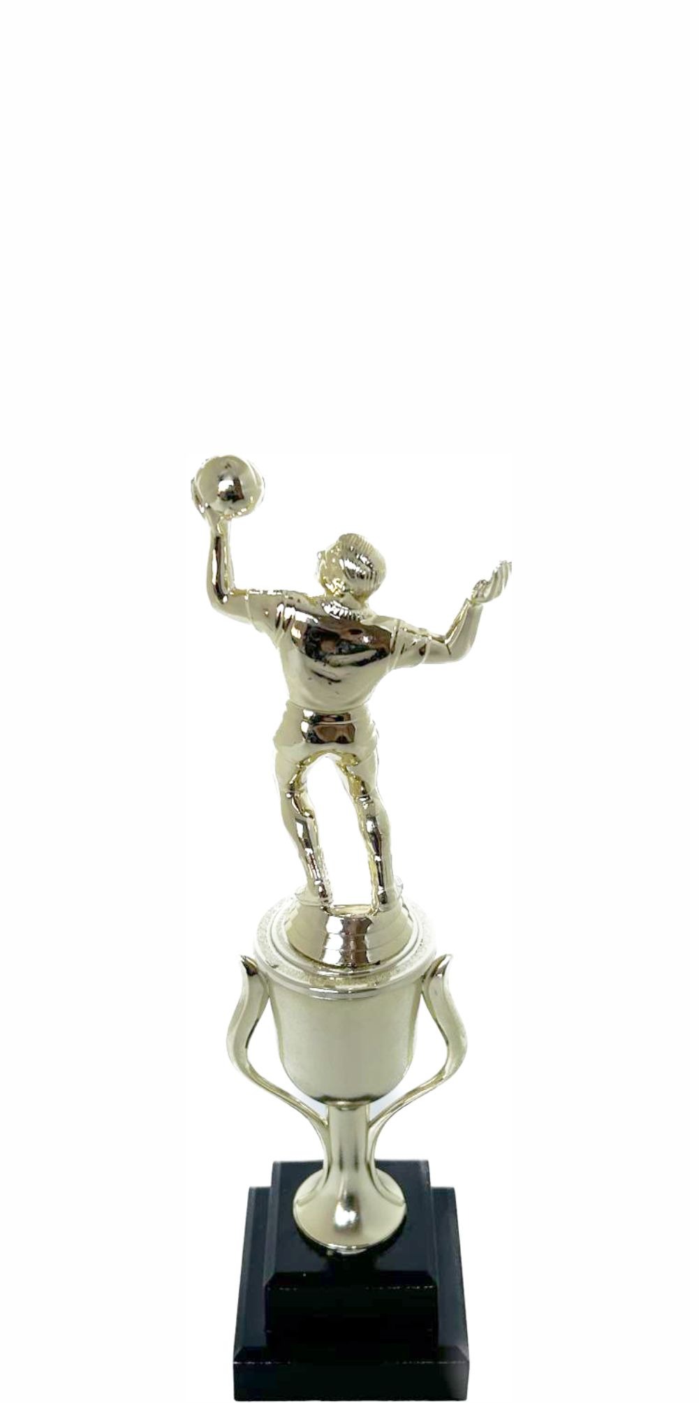 Volleyball Male Trophy 240mm