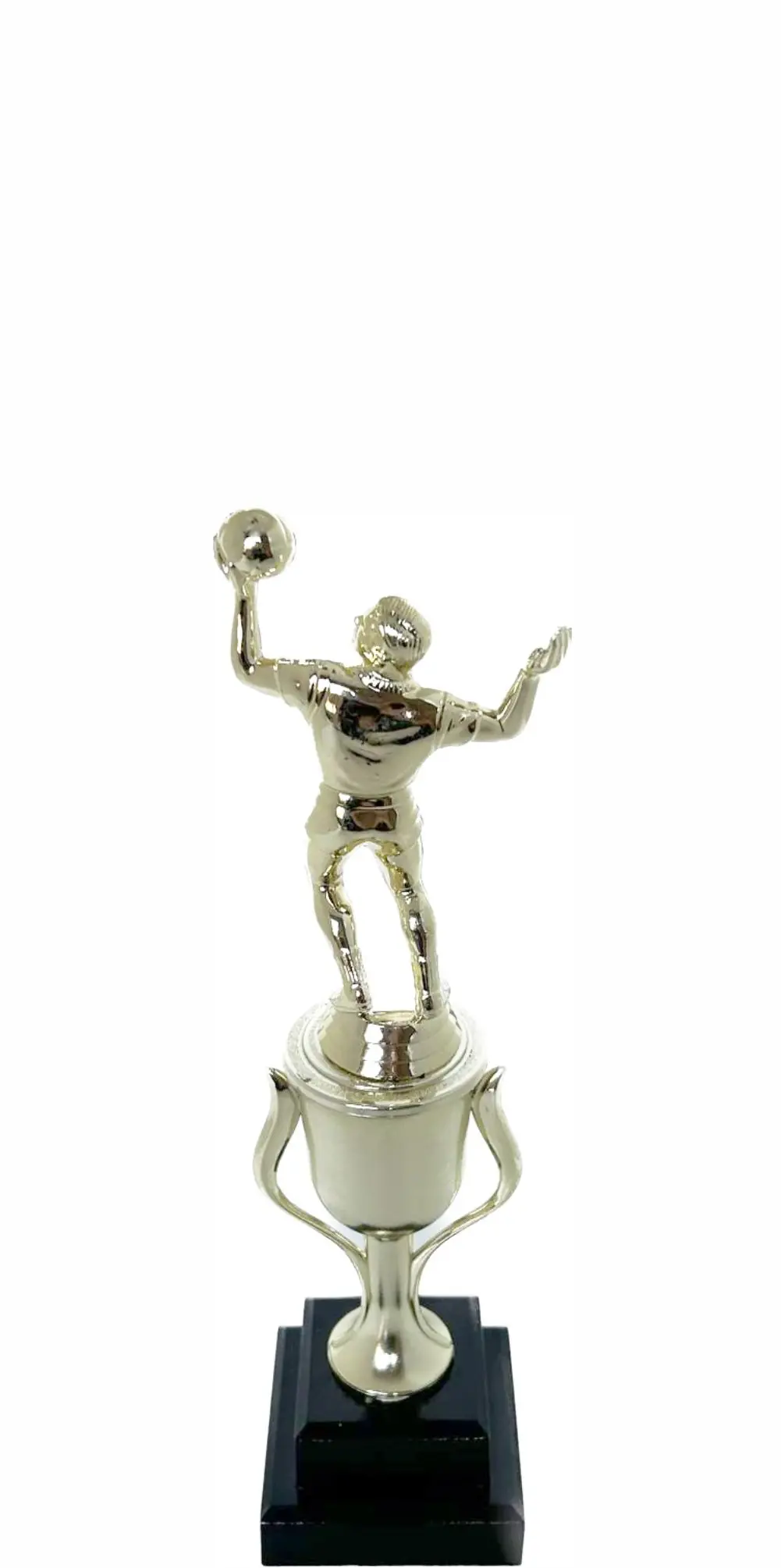 Volleyball Male Trophy 240mm