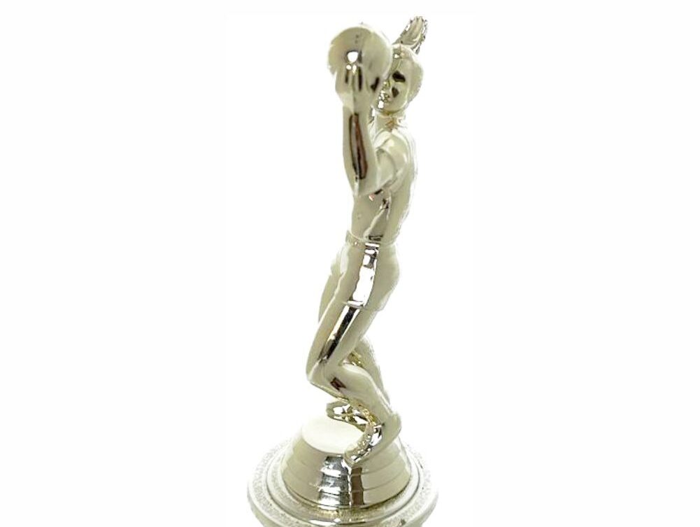 Volleyball Male Trophy 240mm