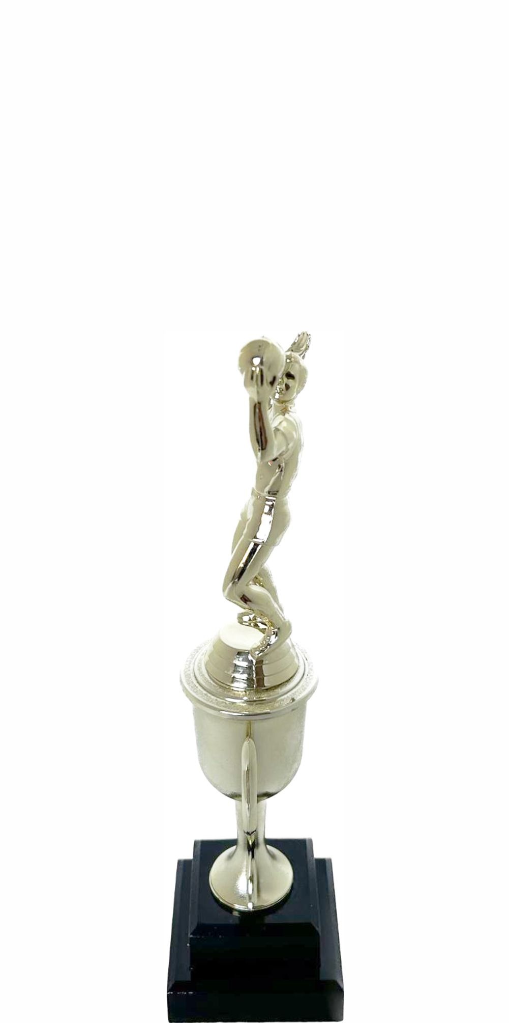 Volleyball Male Trophy 240mm
