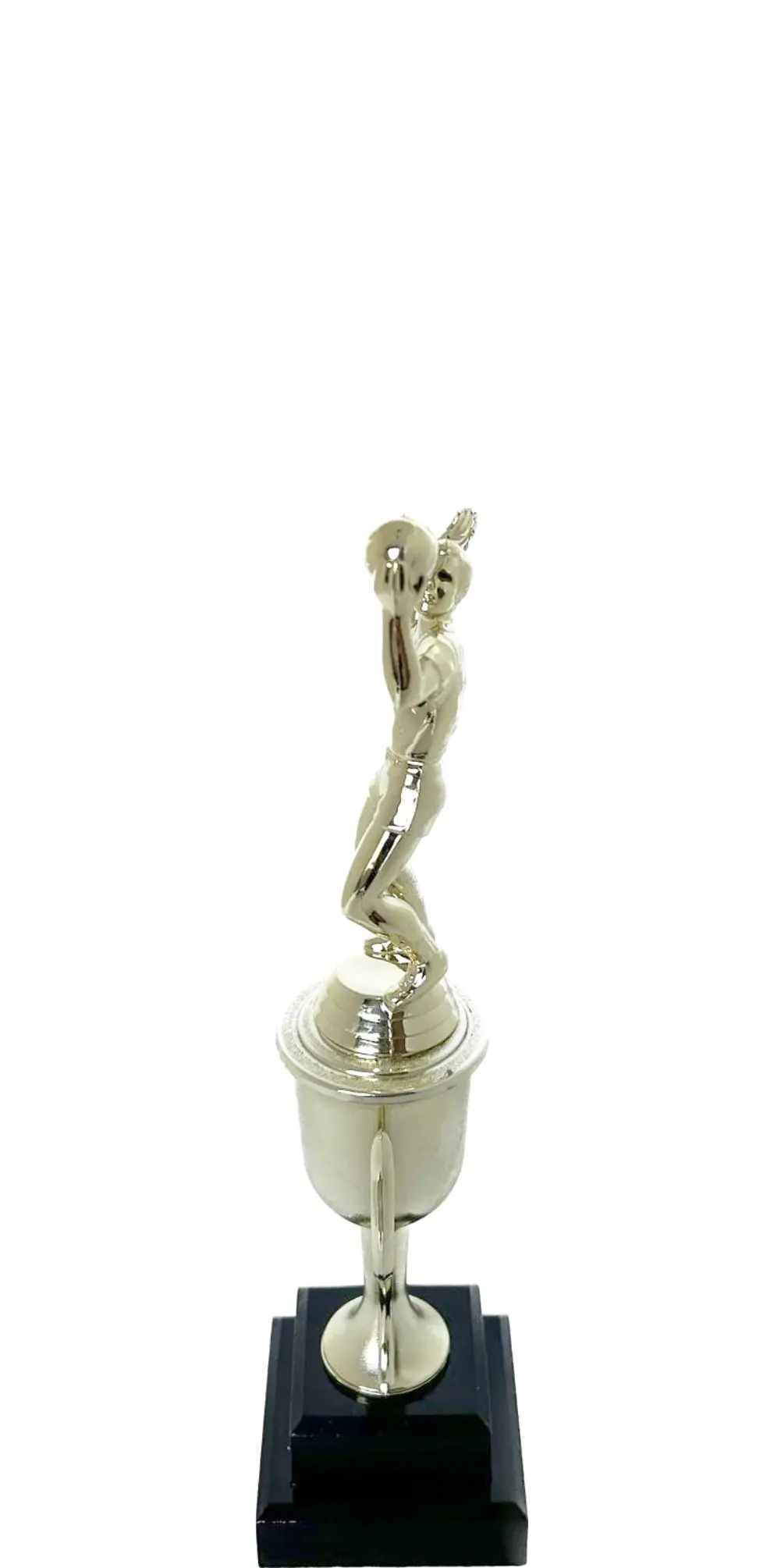 Volleyball Male Trophy 240mm