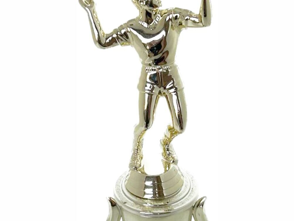 Volleyball Male Trophy 265mm