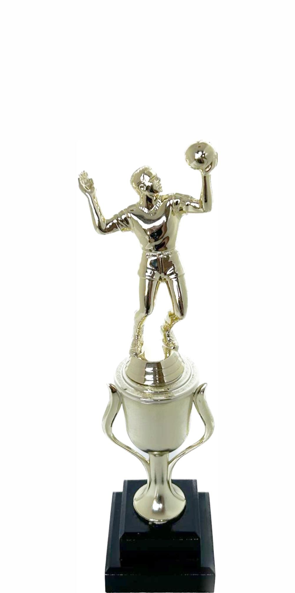 Volleyball Male Trophy 265mm
