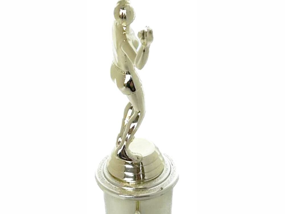 Volleyball Male Trophy 265mm