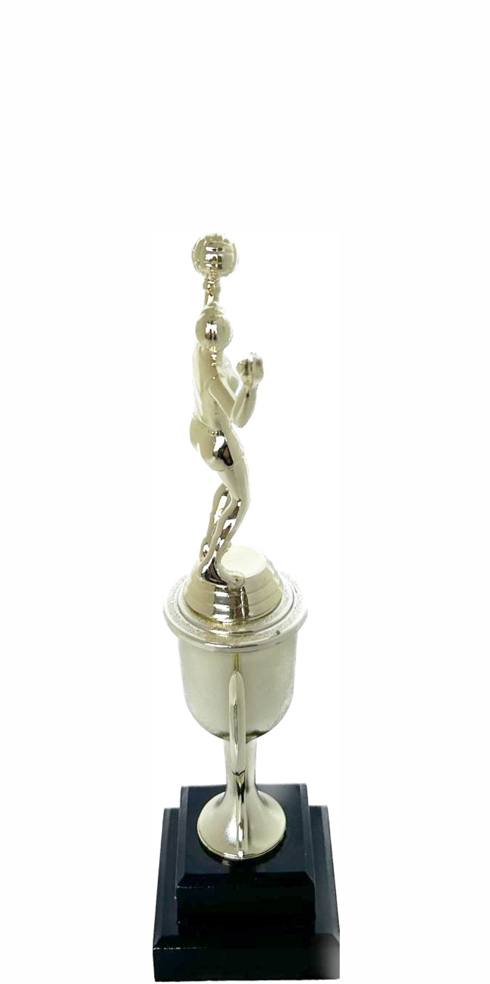 Volleyball Male Trophy 265mm