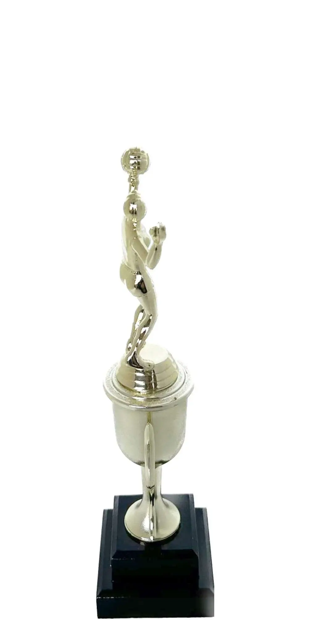 Volleyball Male Trophy 265mm