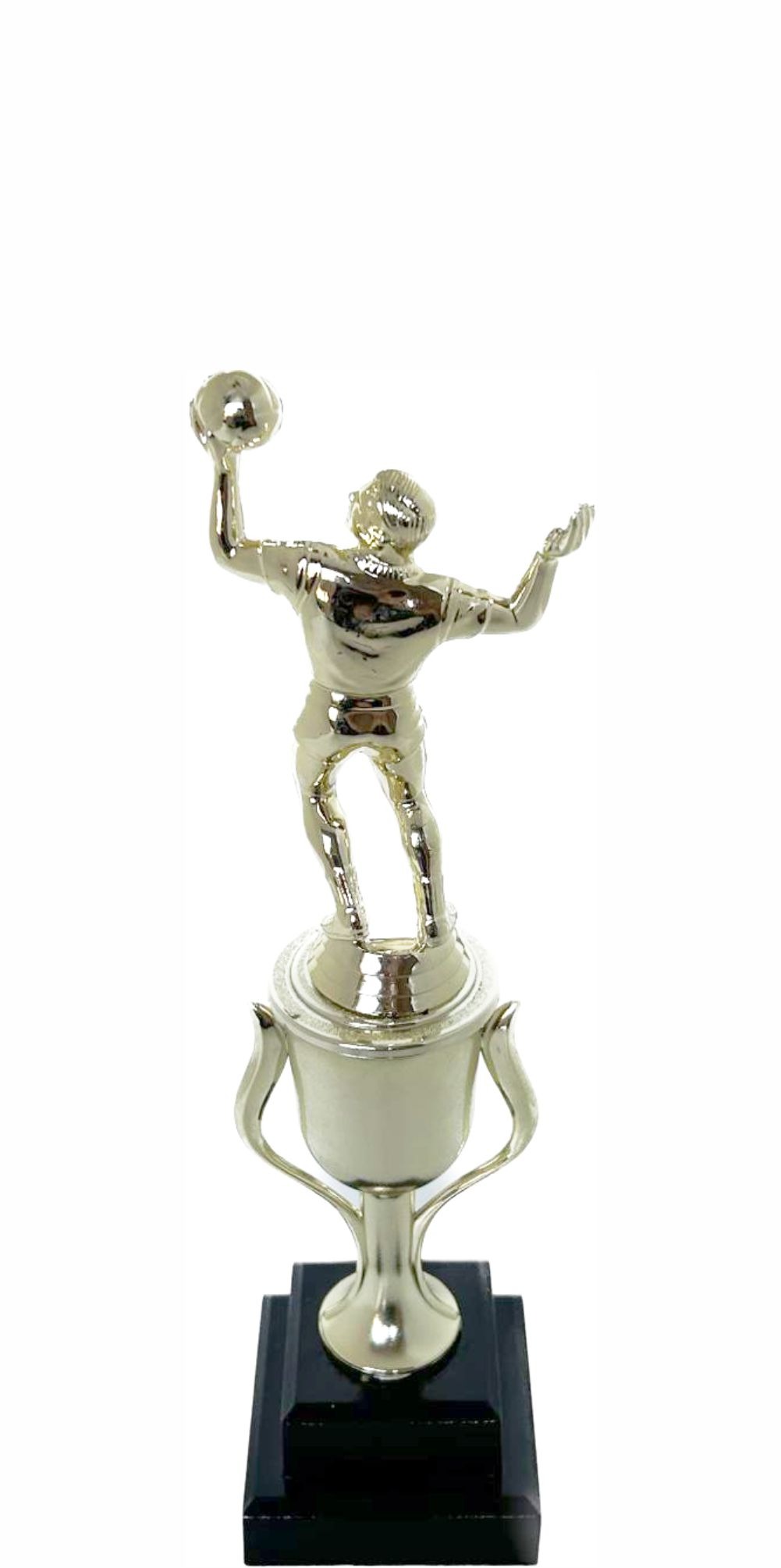 Volleyball Male Trophy 265mm
