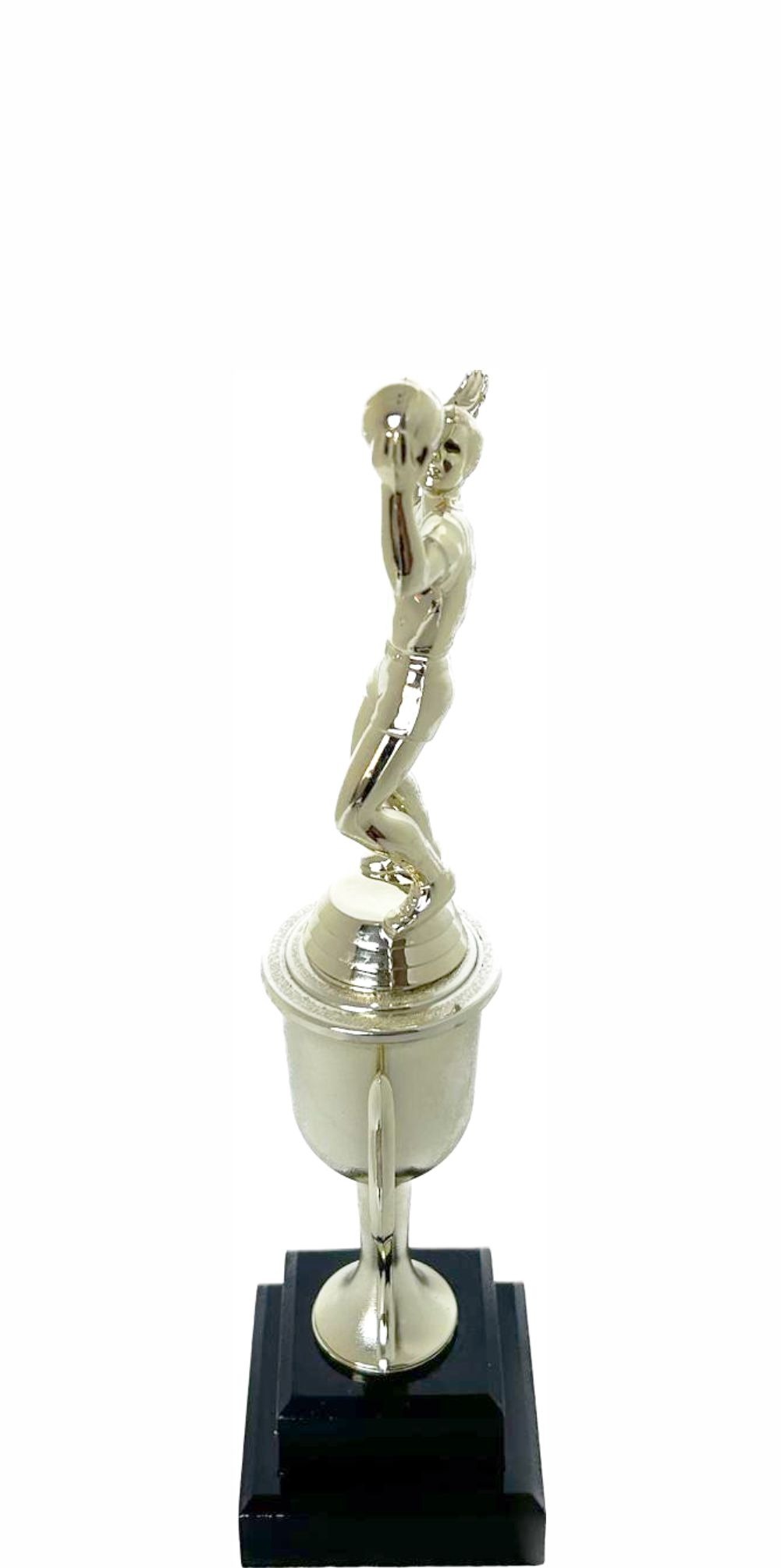 Volleyball Male Trophy 265mm
