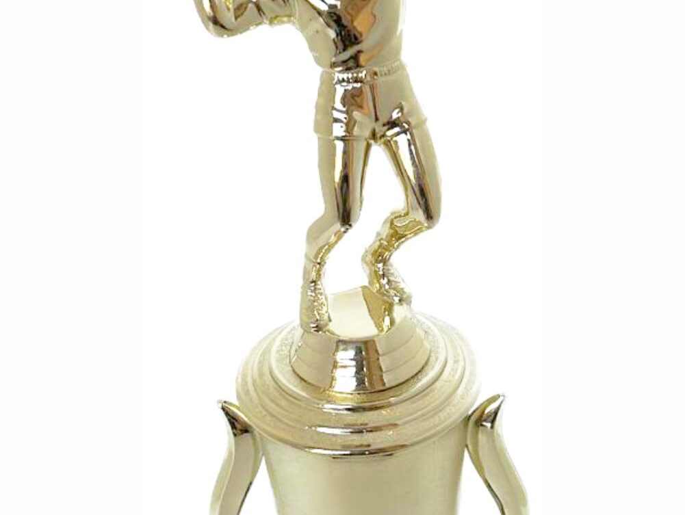 Volleyball Male Trophy 300mm
