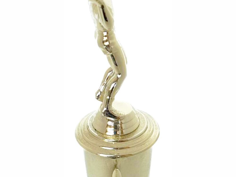 Volleyball Male Trophy 300mm
