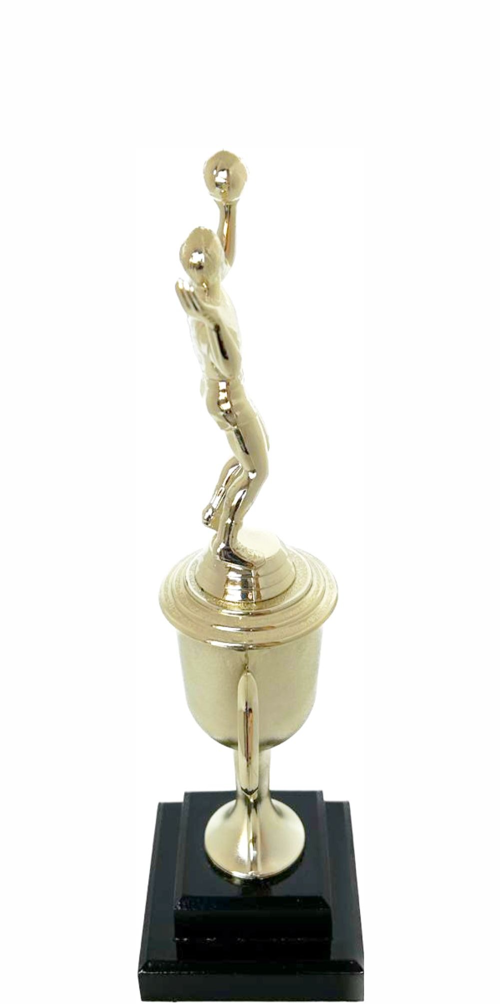 Volleyball Male Trophy 300mm