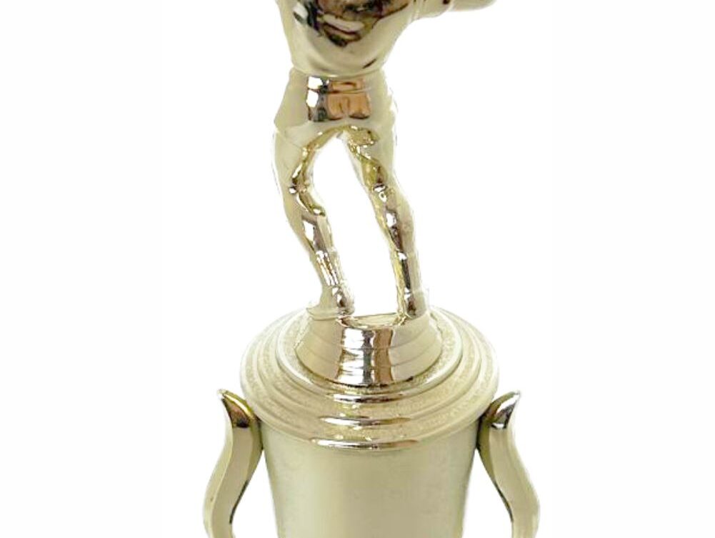Volleyball Male Trophy 300mm