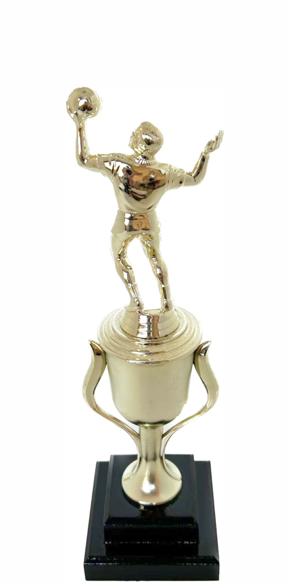 Volleyball Male Trophy 300mm