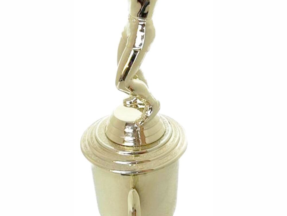 Volleyball Male Trophy 300mm