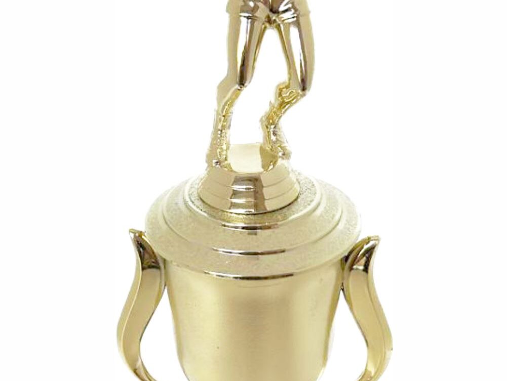 Volleyball Male Trophy 340mm