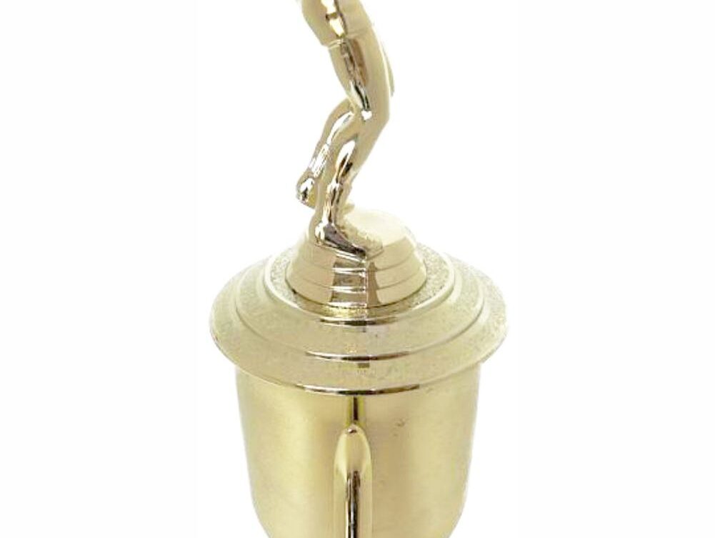 Volleyball Male Trophy 340mm