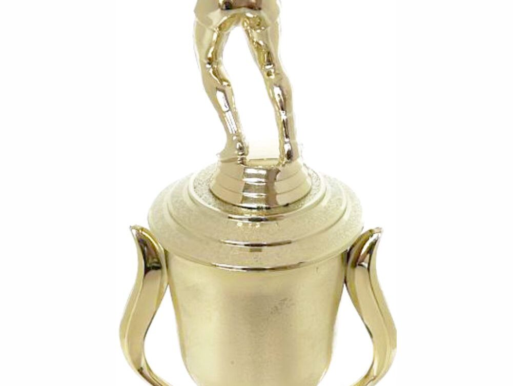 Volleyball Male Trophy 340mm